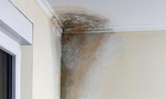 Inspección Termográfica